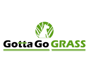 Logo Design by alux_x