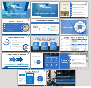 PowerPoint Design by IndreDesign