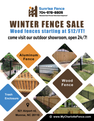 Flyer Design by Digital Design Solution