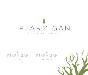 Logo Design by Namal