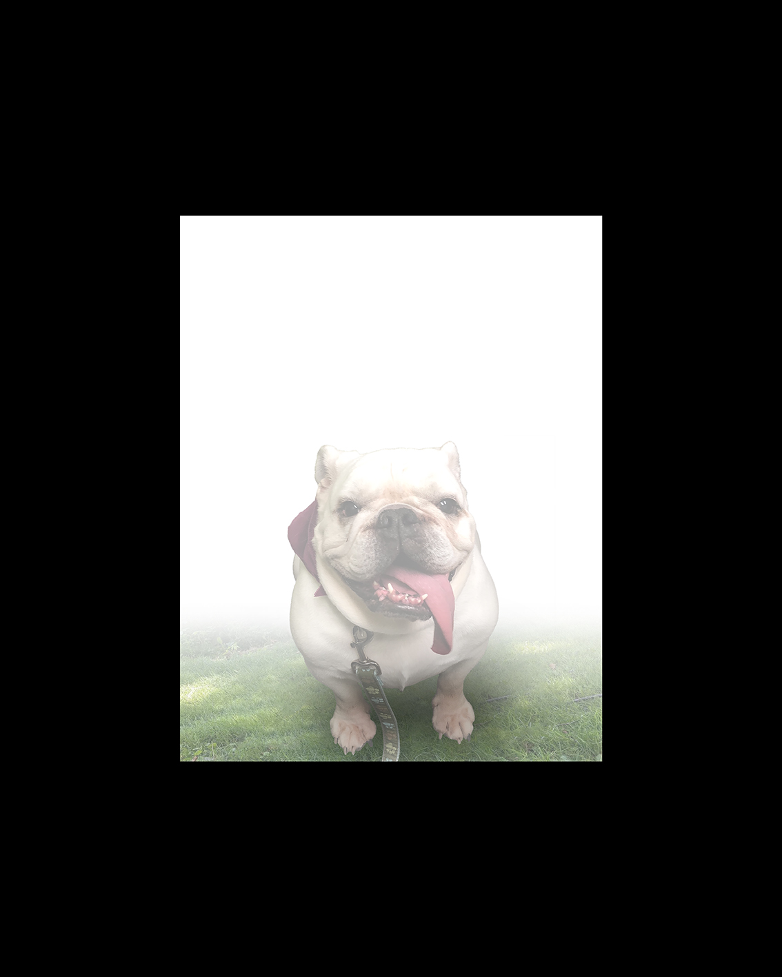 Stationery Design by Phouii for 724 Easy Auto | Design #22820727