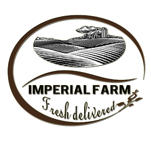 Logo-Design von Frankbwaya für dieses Projekt | Design: #3070055