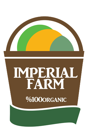 Logo-Design von bqdesign für dieses Projekt | Design: #3014358