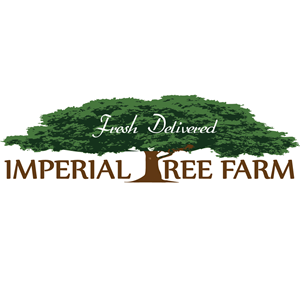 Logo Design by chris