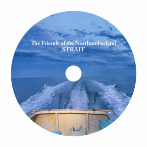 CD-Cover-Design von Tatlin für dieses Projekt | Design: #22796036