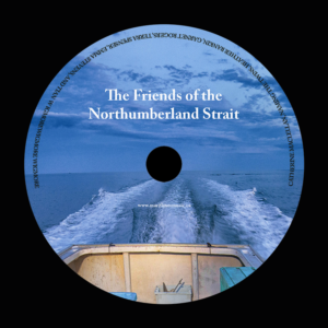 CD Cover Design by Tatlin