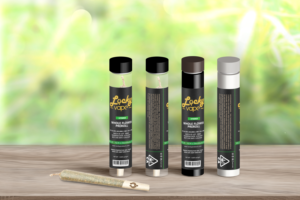 Graphic Design by Min2 for this project | Design #22836362