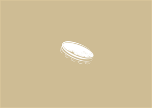 Diseño de Logo por pixelbox para este proyecto | Diseño #3005292