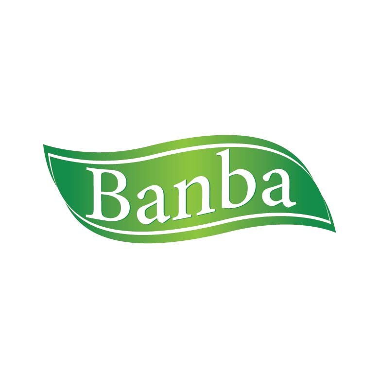 Logo Design by Design Possibilities for banba | Design #3098579
