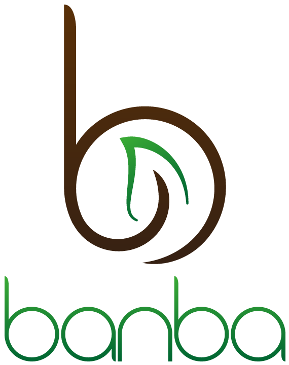 Design de Logo par Scott O'Toole pour banba | Design #3149798