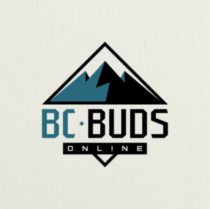 Logo Design by JLVACA for OCD Multimedia Inc. | Design: #22837415