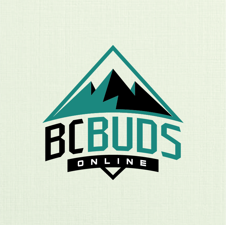 Diseño de Logo por JLVACA para OCD Multimedia Inc. | Diseño #22837417