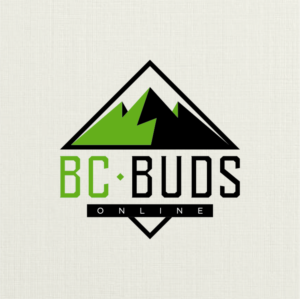 Diseño de Logo por JLVACA para OCD Multimedia Inc. | Diseño #22822871