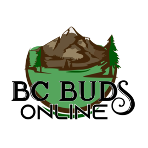 Logo Design by maan.arte
