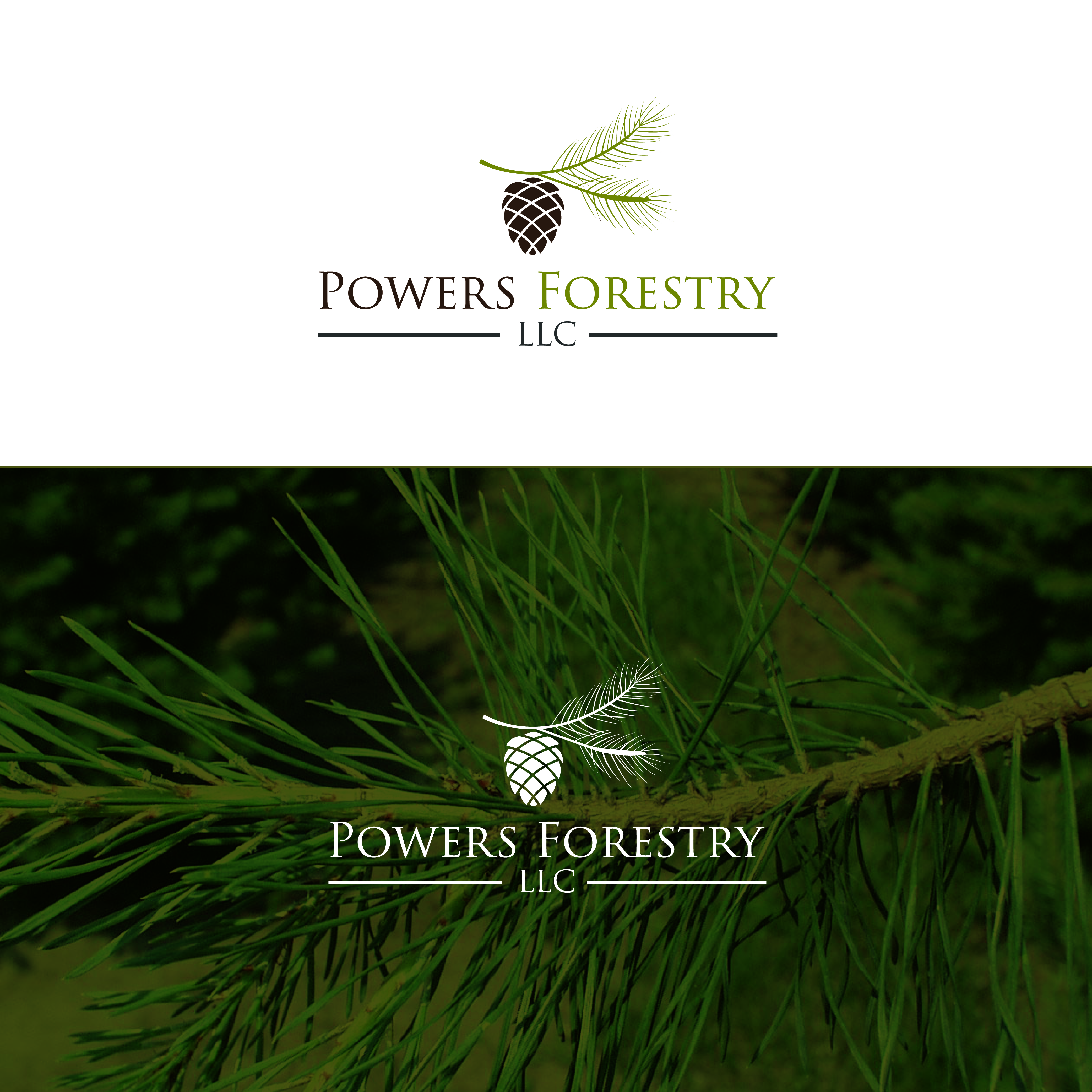 Design de Logo par ecorokerz pour ce projet | Design #22869098