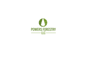 Logo Design by Jasmine.Designs