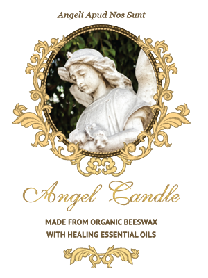 Design Graphique par insoltech