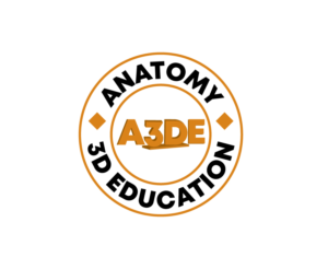 A3DE    | Logo Design by Juli creation