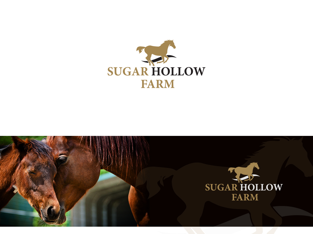 Diseño de Logo por damakyjr para este proyecto | Diseño #1806875