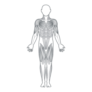 Illustration Design by iamrady for this project | Design: #22847248