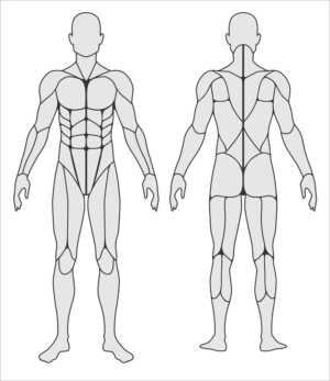 Illustration Design by Scelatio for this project | Design: #22858589