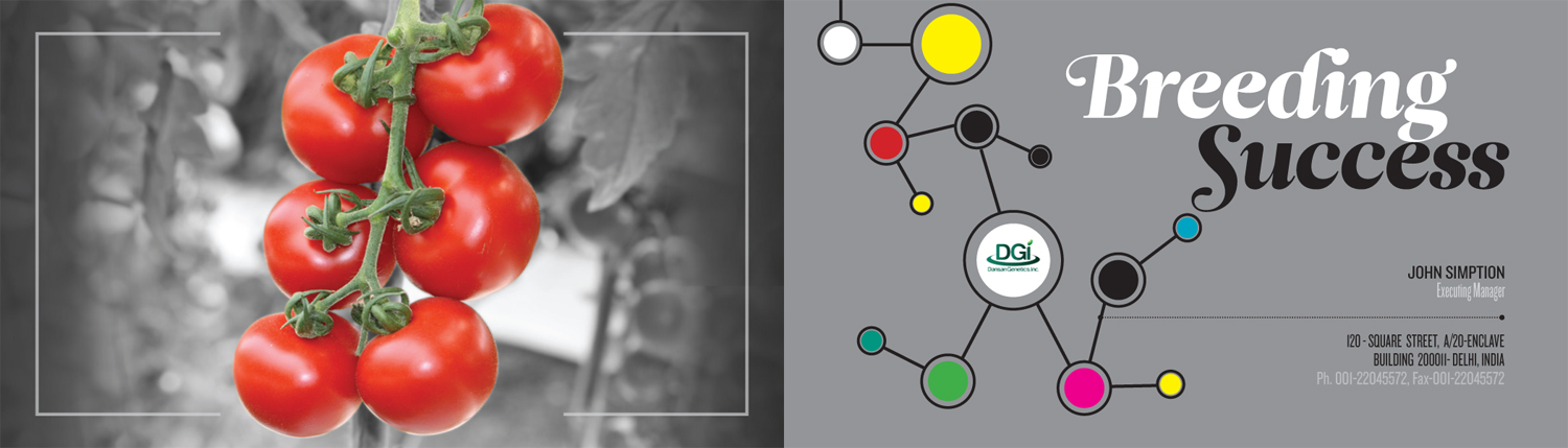 Business Card Design by Vikram Nongmaithem for this project | Design #2971404