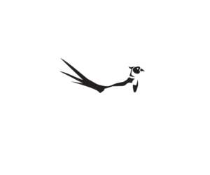 We don't need any text, just the image. | Design de Logo par Buck Tornado