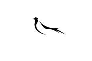 Logo Design by ivo_i_ivanov for this project | Design: #22832522