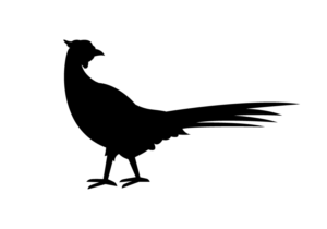 Logo Design by designA78 for this project | Design: #22846811