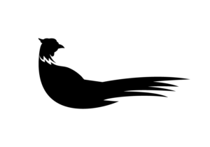 Logo Design by designA78 for this project | Design: #22846951