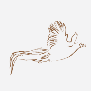 Logo Design by starredmensch