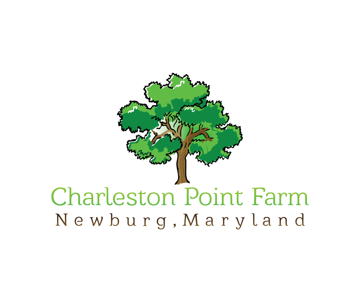 Logo Design by theGAMEisEVER for this project | Design #2992455