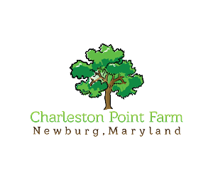 Logo Design by theGAMEisEVER for this project | Design: #2992455