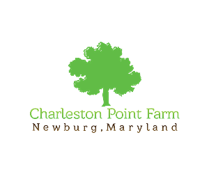 Logo Design by theGAMEisEVER for this project | Design: #2992456