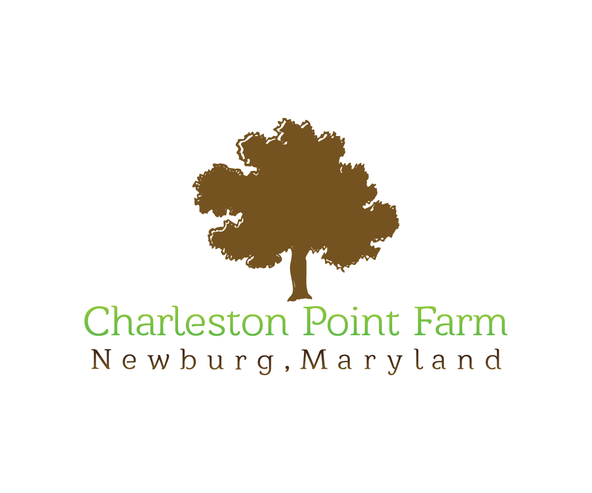 Logo Design by theGAMEisEVER for this project | Design #2992482