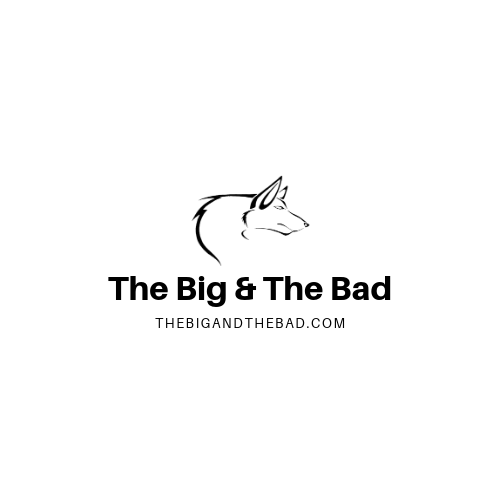 Logo Design by SonaDesigns for this project | Design #22853984