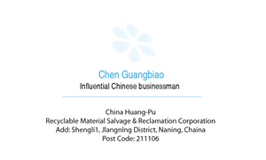 Business Card Design by shonitha for DesignCrowd LLC | Design: #3023799