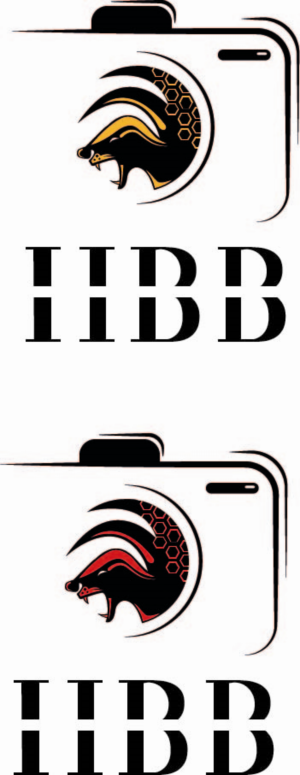 Logo Design by Kashan Ahmed