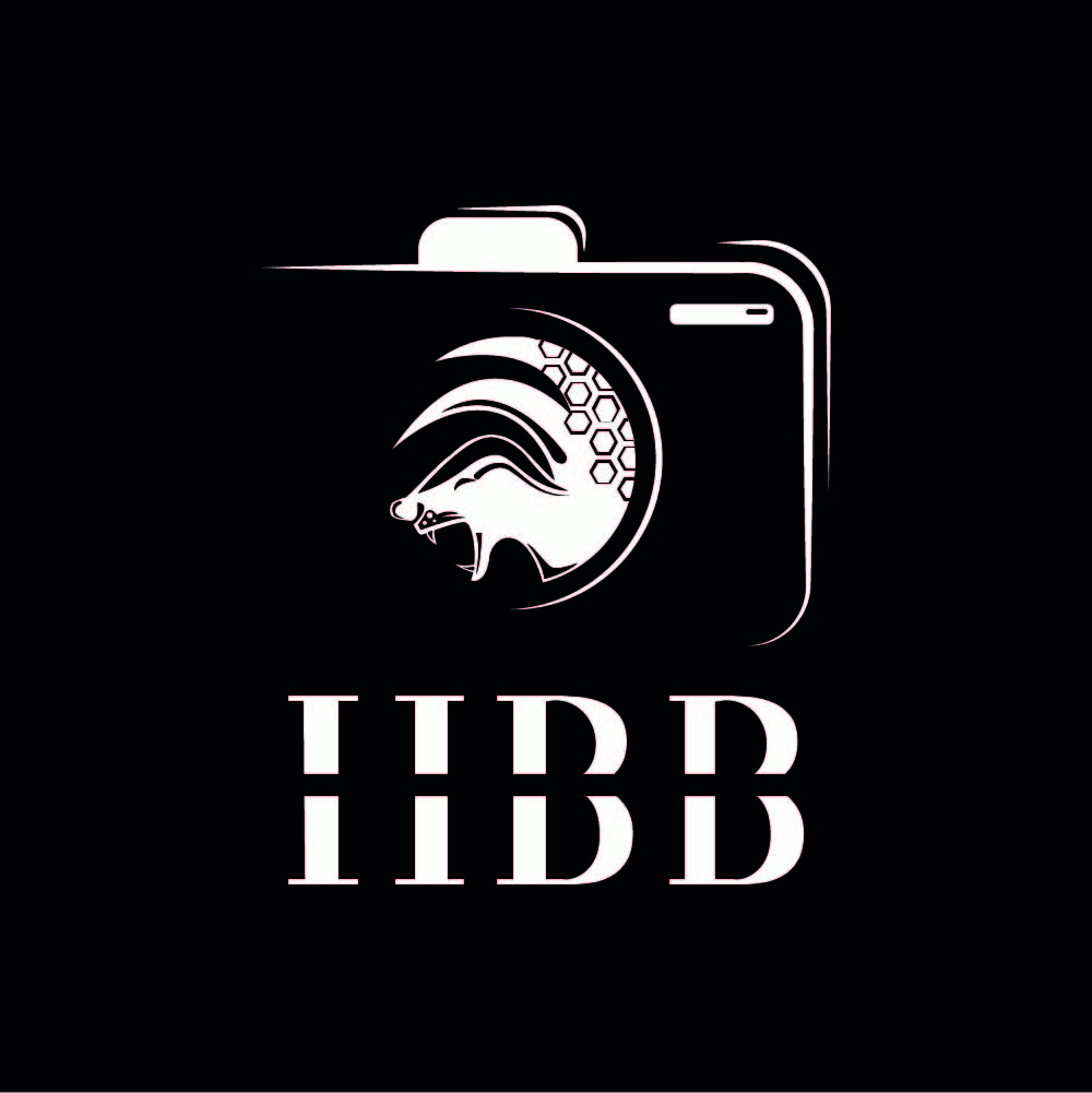 Logo Design by Kashan Ahmed for this project | Design #22886522