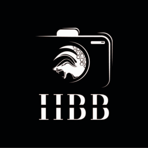 Logo-Design von Kashan Ahmed für dieses Projekt | Design: #22886522