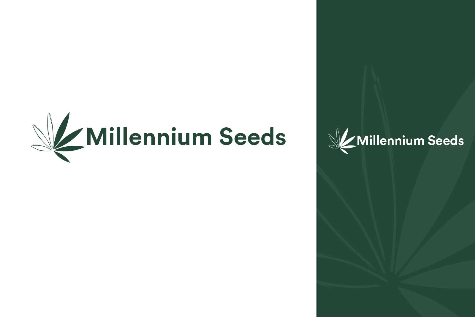 Design de Logo par ivo_i_ivanov pour ce projet | Design #22859354