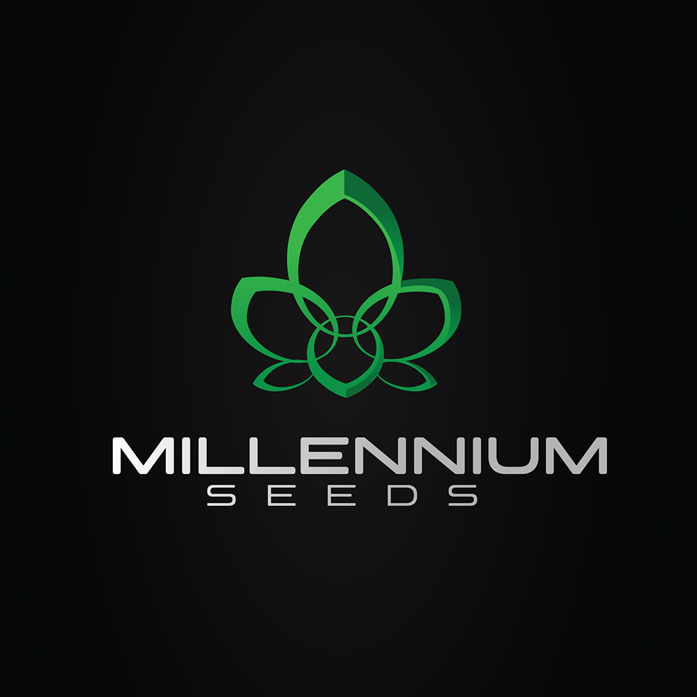 Logo Design by IdentsArt for this project | Design #22865605