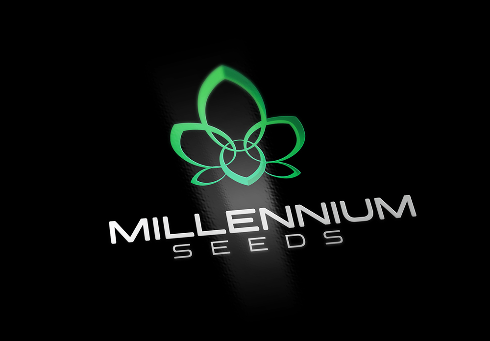 Logo Design by IdentsArt for this project | Design #22865970