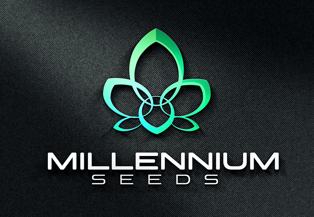 Logo Design by IdentsArt for this project | Design #22865972