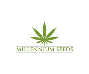 Logo Design by Sienna Miller