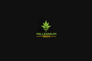 Logo Design by Jasmine.Designs