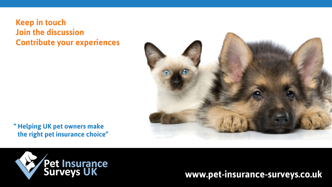 Facebook Design by Creative Type for Pet Insurance Surveys | Design: #2999805