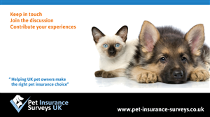 Social Media Designs for Pet Insurance Website