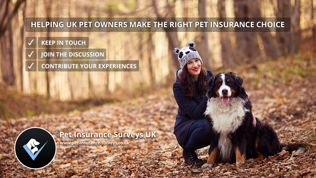 Facebook Design by pb for Pet Insurance Surveys | Design #2977346