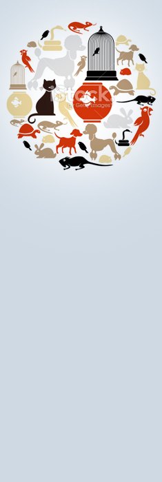 Facebook Design by pb for Pet Insurance Surveys | Design: #2977352